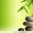 Ghost IMAGE - Windows 11 Pro screen.png