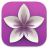 Vellum macOS.png