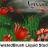 Pixarra TwistedBrush Liquid Studio.jpg