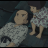 vlcsnap-2019-03-05-20h15m26s351.png