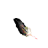 KC Softwares ApHeMo.png