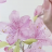 Chinese modern Ink Painting Beginner's Course.png