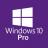 Windows 10 Pro.jpg