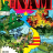 cover.png