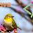 Java Programming and Spring Boot Microservices.jpg