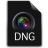 dng.png