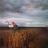 R-60662-1413145899-3784.jpeg.jpg