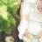 Oracle Card Academy - Foundation To Oracle Card Reading.jpg