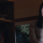 vlcsnap-2020-05-16-06h20m09s819.png