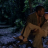 vlcsnap-2020-01-13-08h26m44s857.png
