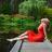 Stress Management In 3D Reduce Stress And Prevent Symptoms..jpg