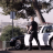 vlcsnap-2026-04-26-09h43m13s757.png