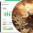 Quickbooks Online Payments.jpg