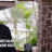 vlcsnap-2018-10-20-09h24m59s049.png