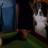 vlcsnap-2020-05-13-22h25m15s009.png