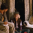 vlcsnap-2017-09-15-23h39m13s842.png