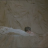 vlcsnap-2019-10-26-11h09m57s306.png