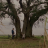 vlcsnap-2026-06-01-15h50m05s814.png