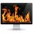 Fireplace Live HD Screensaver.jpeg