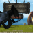 vlcsnap-2018-07-20-17h13m34s252.png
