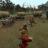 ss_29d94519cad7c3c526c2cb42d450bd67cfbcfb93.600x.jpg