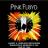 Pink Floyd [1994.06.22] Taper Tom Jorgensen (Minneapolis) - Cover Fold.jpg