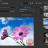 Easy Watermark Studio screen.png