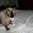 DSCN1200.JPG