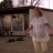 vlcsnap-2019-10-17-01h52m39s169.png