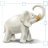 kKqCIB6FqAdy2bi2GRgtd5SYvKSB47XE.png