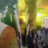 vlcsnap-2019-01-15-13h26m59s037.png