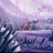 vlcsnap-2019-11-27-20h13m31s092.png