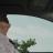 vlcsnap-2018-06-02-08h25m27s198.jpg