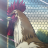 vlcsnap-2026-04-27-14h30m32s597.png