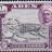 AD-QSH-36.jpg