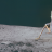 InCollage_20250715_211856971.png