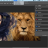 Adobe Photoshop screen.png