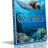 fascination coral reef mkv.png