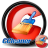 CCleaner Professional.png