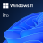 win 11 pro.png