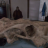 vlcsnap-2020-05-09-06h59m10s061.png