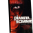 scimmie.png