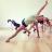 contemporary_dance_adtc-com.jpg