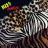 R-1976174-1520618573-7318.jpeg.jpg