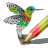 Coloring.png