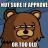 memes__pedobear_not_sure_by_c0rr0si0n-d4wzx5n.jpg