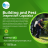 Building and Pest Inspection Capalaba.png