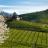 Strada-del-Prosecco-dei-Colli-di-Conegliano-e-Valdobbiadene-le-vigne.jpg