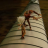 vlcsnap-2018-07-05-12h29m04s605.png