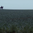 vlcsnap-2019-05-27-11h17m46s996.png